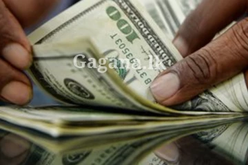 අලුත් අවුරුද්දක පළවෙනි මාසේම අන්තිම දවස - එකවරම ඩොලරයට මොකද වුණේ දන්නව ද?. (PHOTO)