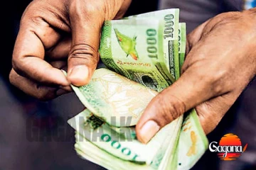 වගා හානි වන්දි ගැන ඇහෙන සුබ පණිවුඩය