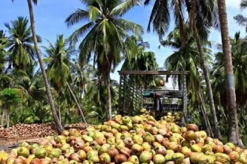 සුබආරංචියක් - මේ ජනතාවට රජයෙන් විශේෂ රක්ෂණයක්