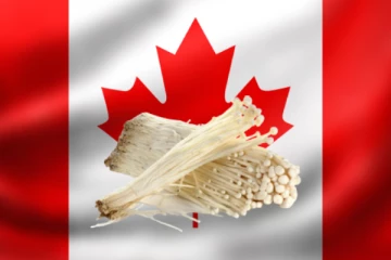 கனேடிய பொதுமக்களுக்கு எச்சரிக்கை., இறக்குமதி செய்யப்பட்ட உணவில் அபாயகரமான பாக்டீரியா