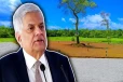 20 இலட்சம் பேருக்கு காணி உரிமை : ரணில் அளித்த வாக்குறுதி