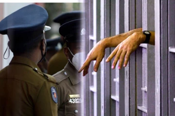அனுமதியின்றி காடுகளை வெட்டிய மூவர் கைது (Photos)