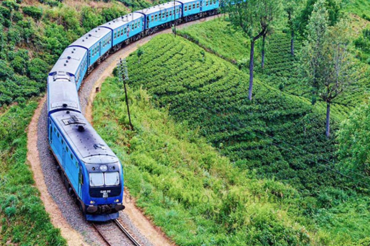 தொடருந்து போக்குவரத்தில் எடுக்கப்பட்ட விசேட தீர்மானம் | Special Decision Taken Regarding Train Services