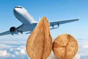 விமானங்களில் தேங்காய் எடுத்து செல்ல முடியாது.., என்ன காரணம்?