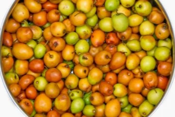 சிறிய எலுமிச்சை சைஸில் இருக்கும் இலந்தைப்பழம் சாப்பிடுவதால் இத்தனை நன்மைகளா? ; நோஞ்சான் குழந்தைகளுக்கு நல்லதாம்!