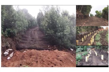 உதகை அருகே விவசாய நிலத்திற்கு வனத்துறையினர் வழி விட வேண்டும் - விவசாயிகள் கோரிக்கை