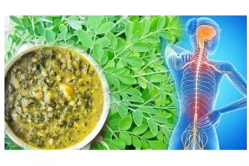 நரம்புகளை வலுவூட்டும் முருங்கை கீரை பருப்பு கூட்டு! சுவையாக செய்வது எப்படி?