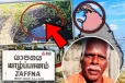 யாழ் அராலியில் அதிசயம்! பொங்கி வழியும் கிணறுகள்: ஐயனாரின் புதுமை எனும் மக்கள்