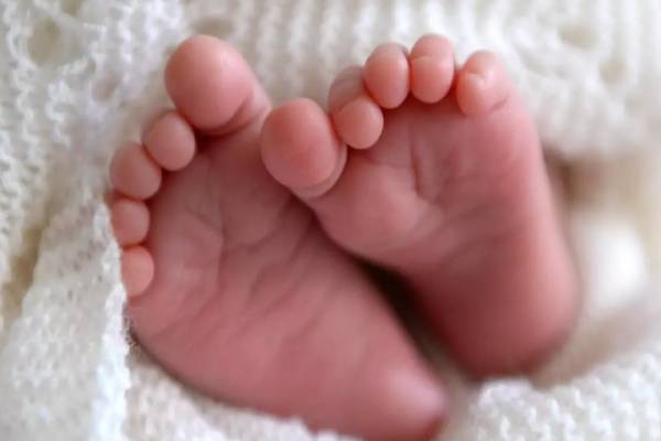 இலங்கையில் திருமணம் செய்துகொள்பவர்களின் எண்ணிக்கையில் மாற்றம் | Birth Rate In The Country Has Decreased