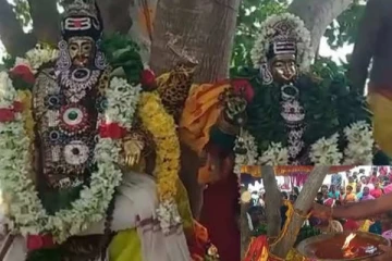 ஒமிக்ரான் வைரஸை தடுக்க வேப்ப மரத்திற்கு திருமணம்... வேலூரில் நடந்த சம்பவம்...