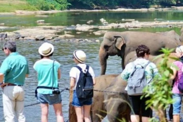 சுற்றுலாப் பயணிகளின் எண்ணிக்கை பாரியளவில் வீழ்ச்சி!