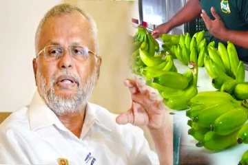 சர்வதேச சந்தைகளில் யாழ்.வாழைப்பழத்திற்கு ஏற்பட்டுள்ள கிராக்கி: அமைச்சர் டக்ளஸ் பாராட்டு(Photos)