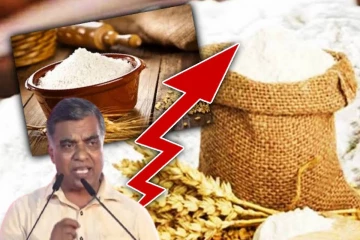 கோதுமை மா விலை உயர்விற்கான காரணத்தை வெளியிட்டார் பிரதி அமைச்சர்