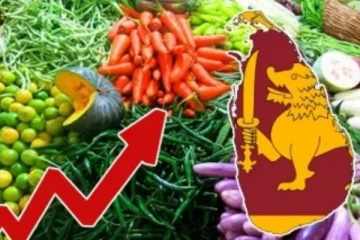 மரக்கறிகளின் விலைகளில் ஏற்பட்டுள்ள மாற்றம்