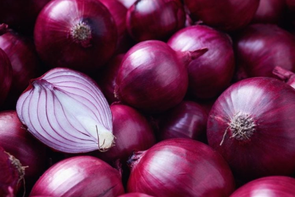 பெரிய வெங்காய இறக்குமதி குறித்து வெளியான தகவல் | Sri Lanka Onion Import Surge Hits Local Farmers பெரிய வெங்காய இறக்குமதி குறித்து வெளியான தகவல் | Sri Lanka Onion Import Surge Hits Local Farmers