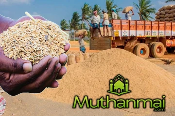 நெல் வாங்கும் ஆலை உரிமையாளர்களின் பதிவு தொடர்பில் வெளியான தகவல்