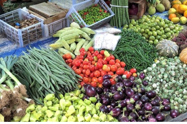 மரக்கறிகளின் விலையில் ஏற்படப்போகும் மாற்றம் | Vegetable Prices Will Raise