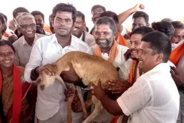 இது வெறும் ஆட்டுக்குட்டி கிடையாது சார் .. ஆஸ்கார் விருது : தமிழக பாஜக தலைவர் அண்ணாமலை பெருமிதம்