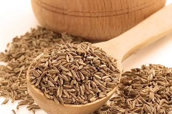 Natural Remedies: மழைக்கால வயிற்றுப் பிரச்சினைகளுக்கு 7 இயற்கை தீர்வுகள் | 7 Natural Fixes For Monsoon Stomach Problems