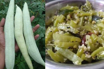 உணவில் இந்த ஒரு காயை சேர்த்து கொண்டால் ஏற்படும் அற்புதங்கள்