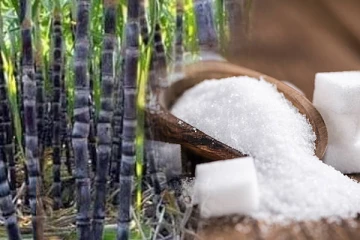 உலக சந்தையில் சீனி விலையில் மாற்றம்