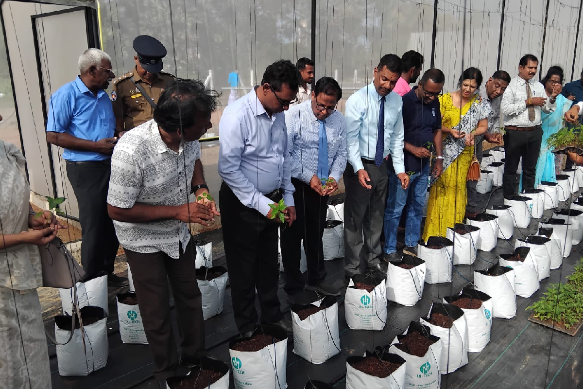 வளமான கிராமம் எனும் தொனிப்பொருளின் கீழ் பசுமை வீடு கையளிப்பு! | Green House Handover Program