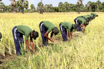 இராணுவத்தின் பசுமை விவசாயம்: நாடு முழுவதும் மேற்கொள்ளப்போகும் நடவடிக்கை