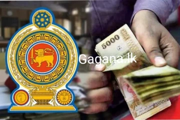 රාජ්‍ය සේවකයින් අඩු කර වැටුප් වැඩි කරයි?..නව වැටුප් ක්‍රමයක් හදුන්වා දෙන්න යයි..