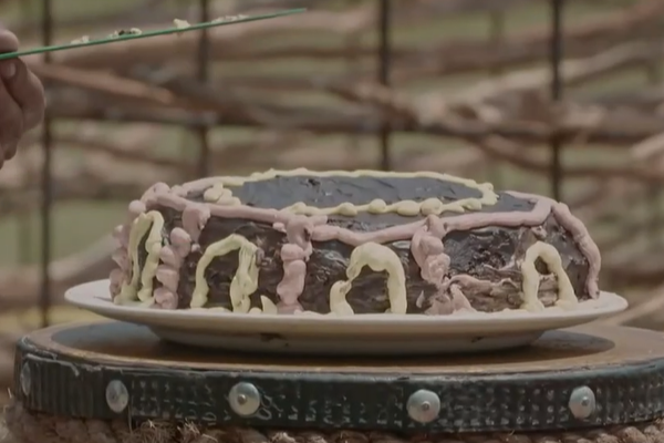 சர்வைவரில் தொகுப்பாளர் அர்ஜூன் கொடுத்த சர்ப்ரைஸ்!  உச்சக்கட்ட மகிழ்ச்சியில் போட்டியாளர்கள் | Survivor Live Show