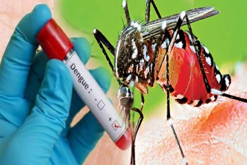 யாழ். மாவட்டத்தில் டெங்கு நோயின் பரவல் அதிகரிப்பு