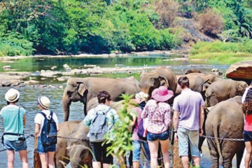 இலங்கைவரும் சுற்றுலா பயணிகளின்  எண்ணிக்கையில் திடீர்  மாற்றம்!