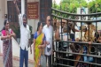இராணுவத்திடம் கையளிக்கப்பட்ட 29 சிறுவர்கள் எங்கே..! காணாமல் ஆக்கப்பட்டோர் உறவுகளின் கேள்வி