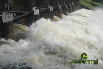 கந்தளாய் குளத்தின் நீர்மட்டம் அதிகரிப்பு! அவசரமாக திறக்கப்பட்ட வான்கதவுகள்