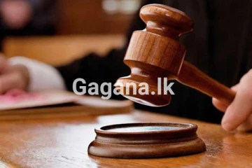 කෙහෙළිය ගැන අද ලැබුණු විශේෂ අධිකරණ නියෝගය..!