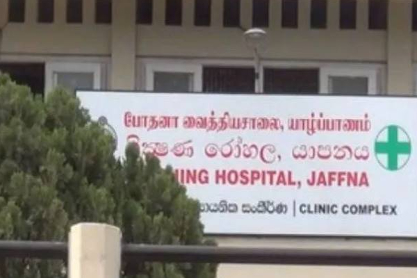 யாழில் பரிதாபமாக உயிரிழந்த பெண்! சோகத்தில் ஆழ்த்திய சம்பவம் | Woman Died After Being Attacked By A Wasp Jaffna