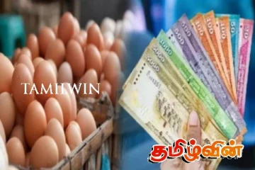 முட்டையின் விலை வேகமாக உயரும் அபாயம்: விலைகளில் பெரும் மோசடி