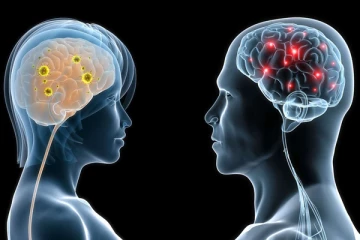 ගැහැණු මොළය හා පිරිමි මොළය අතර තියෙන මේ වෙනස්කම් ගැන දන්නවද?