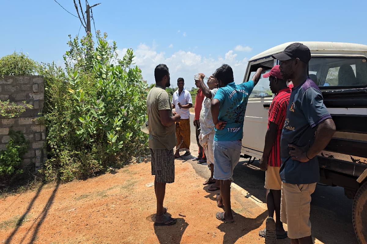 மன்னார் வீதியில் சிதறிக்கிடந்த மனித உடல் பாகங்கள் ; இழுத்துச் செல்லும் நாய்கள் | Human Body Parts Scattered On Mannar Streets