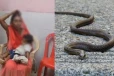 பொம்மை என நினைத்து பாம்பை கடித்த 1 வயது குழந்தை - பலியான பாம்பு