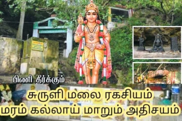 தண்ணீரில் விழுந்த இலை: 48 நாட்களில் பாறையாகும் அதிசய கோயில்