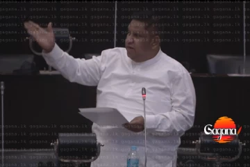 මැතිසබේ උණුසුම් තත්ත්වයක් - විපක්‍ෂනායකව කනෙන් අල්ලලා එළියට දාන්න - කරන්න බැරි නම් කථානායක අයින් වෙන්න..