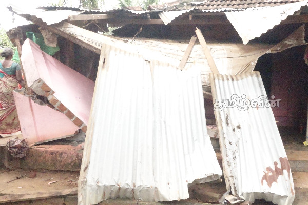 யானை தாக்கி இளம்பெண் மரணம்: வீடுகளுக்கு சேதம் (Photos) | Girl Killed By Elephant Damage To Houses
