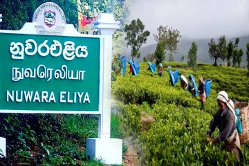 8 கோரிக்கைகளுடன் தோட்டத் தொழிலாளர்கள் வீதி மறியல்: நிர்வாக மாற்றம் கோரி போராட்டம்