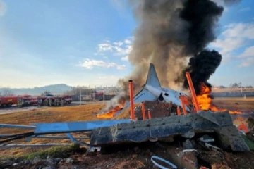 தென் கொரிய விமான விபத்தில் 2 பேர் மட்டும் உயிர் பிழைத்தது எப்படி?