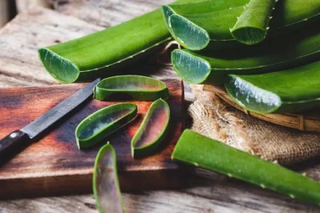 கற்றாழையை யாரெல்லாம் சாப்பிடக்கூடாது தெரியுமா? ஆபத்தை தெரிந்து கொள்ளுங்கள்