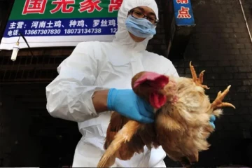 H3N8 பறவைக் காய்ச்சலின் முதல் மனித வழக்கு சீனாவில் பதிவானது