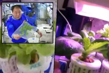 விண்வெளியில் விவசாயம்: உலகின் கவனத்தையீர்த்த சீன விஞ்ஞானிகள்