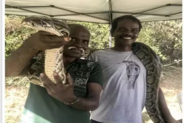 2023 பத்ம விருதுகள்: இருளர் சமூகத்தைச் சேர்ந்த இருவருக்கு பத்மஸ்ரீ!