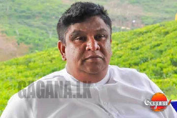 රිලා සංගණනය අමු බොරුවක් - චාමර ආණ්ඩුවට දෙහි කපයි