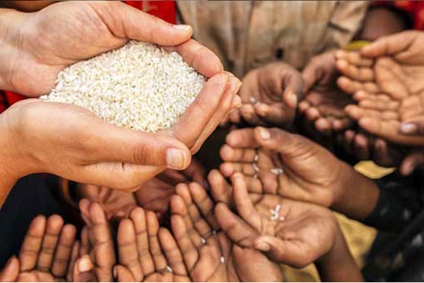 பொருளாதார மரணப் படுக்கையில் இலங்கை - விடுக்கப்பட்டுள்ள கடும் எச்சரிக்கை! - ஐபிசி தமிழ்